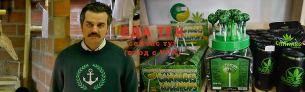 шишки Алексин