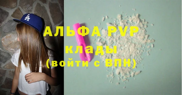 PSILOCYBIN Аркадак