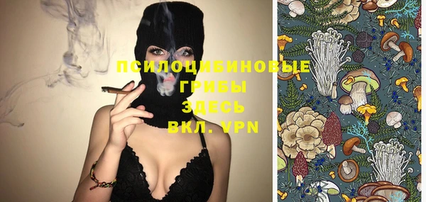 PSILOCYBIN Аркадак
