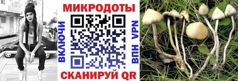 hydra онион  Курск  Галлюциногенные грибы Magic Shrooms 